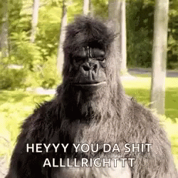 Gorilla Yes GIF - Gorilla Yes Hell GIFs