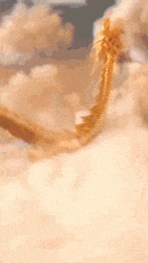 a close up of a snake 's tail against a cloudy background