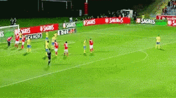 a soccer game is being played on a field with sagres advertisements on the sidelines