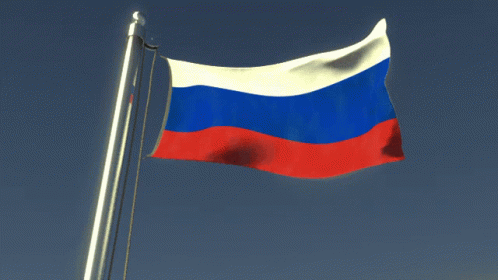 Flag Flag Waver GIF - Flag Flag Waver Russia GIFs