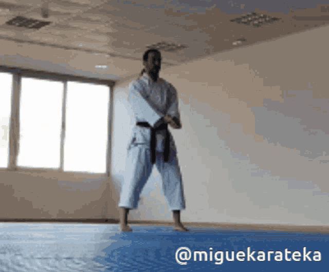 Karate Kankudai GIF - Karate Kankudai Kata GIFs