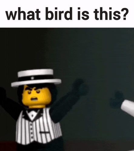 a lego man wearing a tuxedo and hat says what bird is this