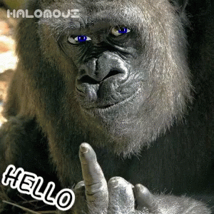Gorilla Middle Finger GIF - Gorilla Middle Finger Eff You GIFs