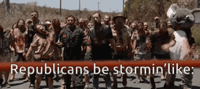 a sign that says republicans be stormin ' likes