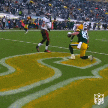 Packers Nfl GIF - Packers Nfl Green Bay Packers GIFs
