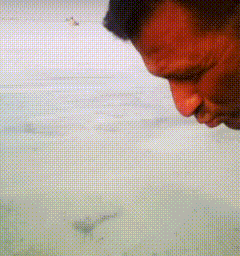 a close up of a man 's face looking at the water