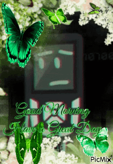 a picture that says good morning have a great day on it