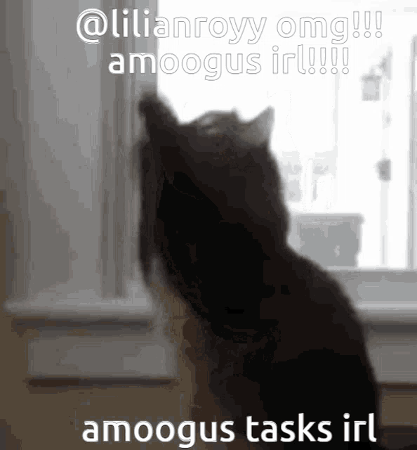a cat looking out of a window with amongus tasks irl written on the bottom