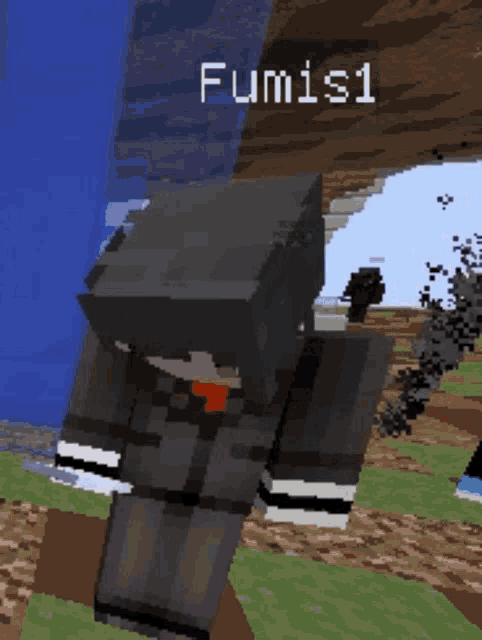 a screenshot of a minecraft character with the name fumis1