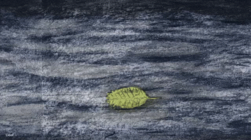 Leave Water GIF - Leave Water River GIFs