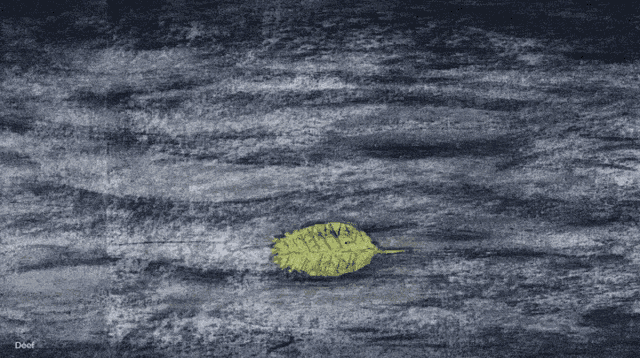 a drawing of a yellow leaf on a gray surface with the name david written below it