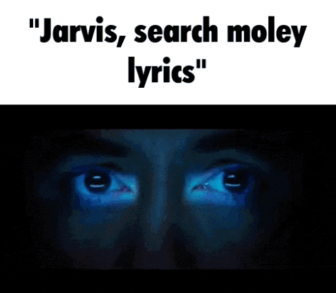 a picture of a man with the words " jarvis search moley lyrics " above it