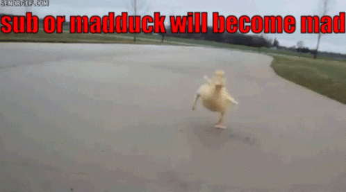 Mad Duck Playz Yt Youtube GIF - Mad Duck Playz Yt Mad Duck Youtube GIFs