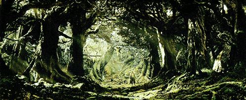 a painting of a forest with trees and moss
