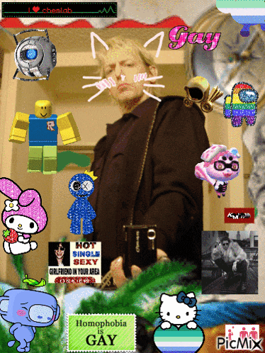a picture of a person with a hello kitty sticker that says gay
