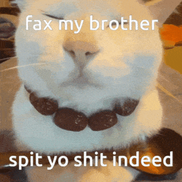 Fax Fax My Brother GIF - Fax Fax My Brother Spit Yo Shit GIFs