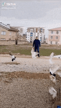 a man is standing in front of a flock of pigeons on a dirt road .