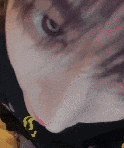 a close up of a cat 's face with the letter s on the bottom