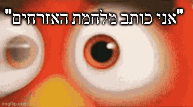 a close up of an angry bird 's eyes with the words imgflip.com below