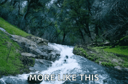 a river flowing through a forest with the words more like this