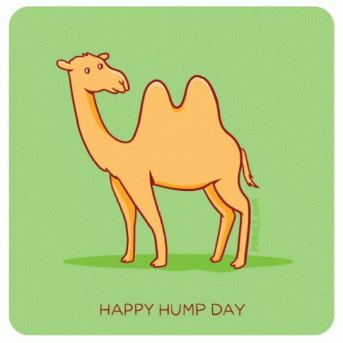 Humpday GIF - Humpday GIFs