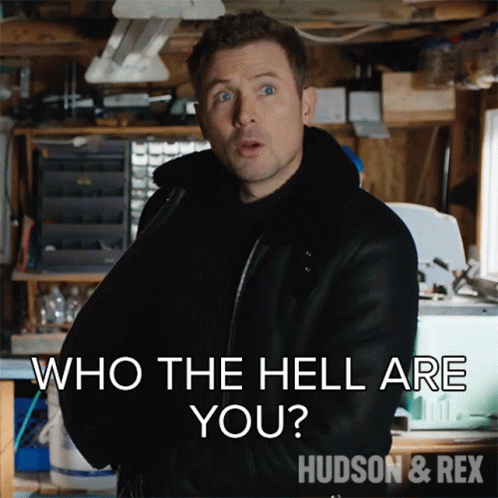 Who The Hell Are You Charlie Hudson GIF - Who The Hell Are You Charlie Hudson Hudson And Rex GIFs