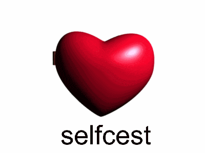 a pair of heart shaped mirrors with the words selfcest on the bottom right