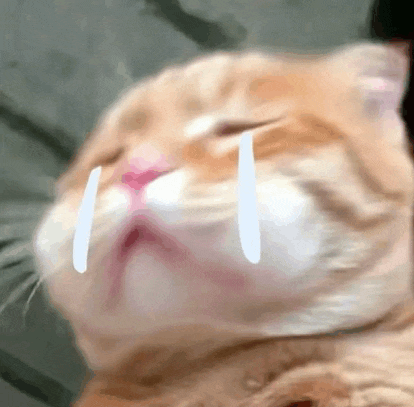 a cat is crying with tears coming out of its eyes .