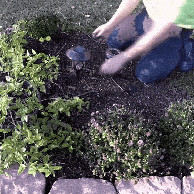 a person is kneeling down in a garden with a solar light .