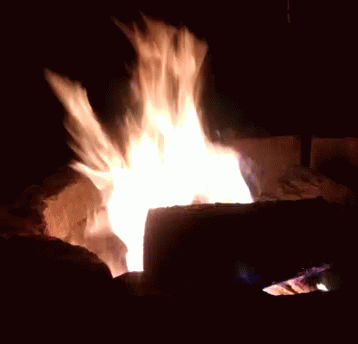 Fire Burn GIF - Fire Burn Hot GIFs