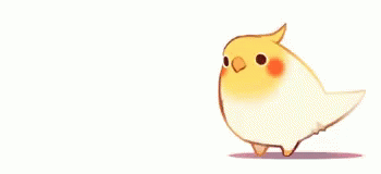 Spin Spinning GIF - Spin Spinning Cockatiel GIFs