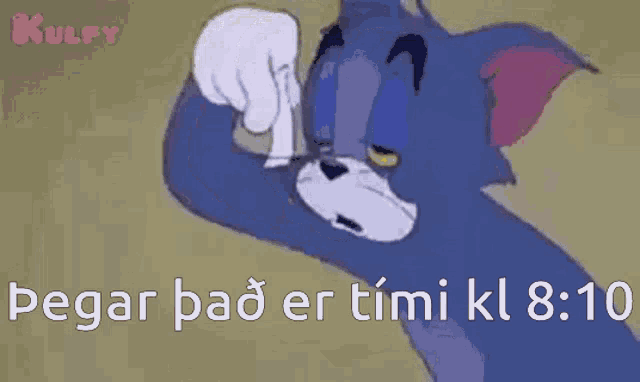 a cartoon of a cat with a tear coming out of his eye .