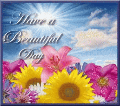 Good Morning Have A Beautiful Day GIF - Good Morning Have A Beautiful Day Flowers GIFs