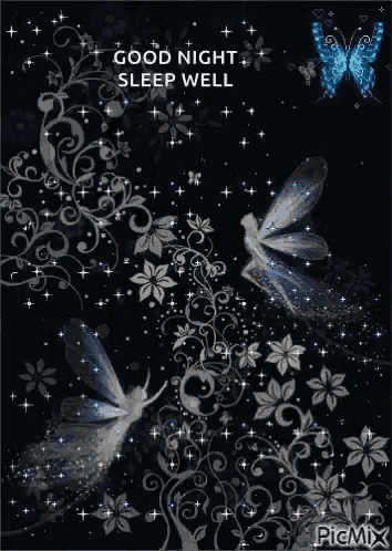 a good night sleep well greeting card with a butterfly and flowers .