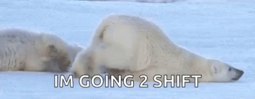 Funny Animals Polar Bear GIF - Funny Animals Polar Bear Lazy GIFs