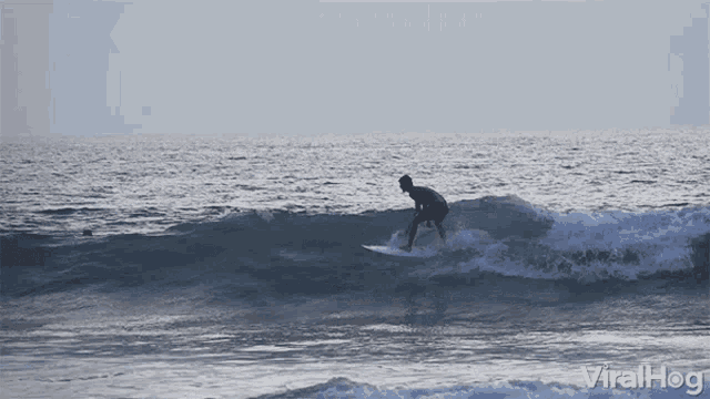 Surfing Surfer GIF - Surfing Surfer Riding GIFs