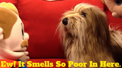 Sml Prince Charles GIF - Sml Prince Charles Ew It Smells So Poor In Here GIFs