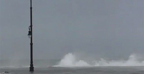 Big Waves Wave GIF - Big Waves Wave Hurricane GIFs