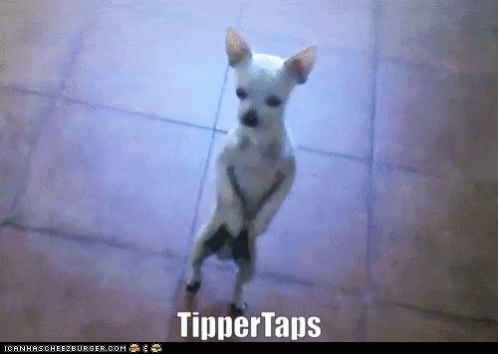 Tipper Taps Fixed GIF - Tipper Taps Fixed Tommy GIFs