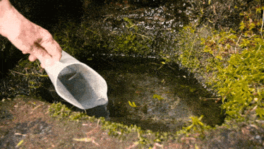 a person pouring water from a plastic cup into a hole