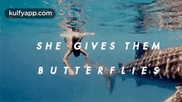 a man is swimming in the ocean with a quote that says she gives them butterflies