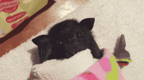 bat-baby.gif