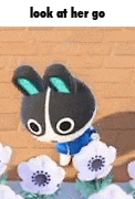 a black and white stuffed animal is standing next to a bunch of white flowers .