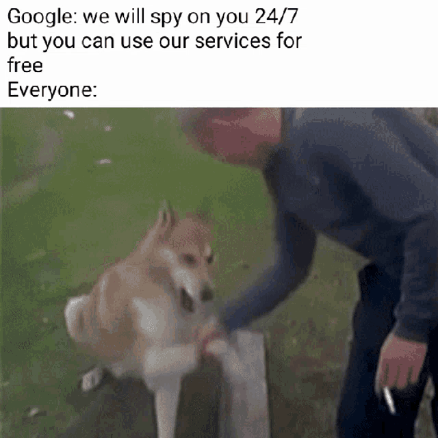 a man standing next to a dog that says google we will spy on you 24/7 but you can use our services for free everyone .