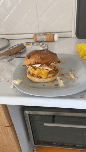 a hamburger on a plate with a bottle of ketchup on the counter
