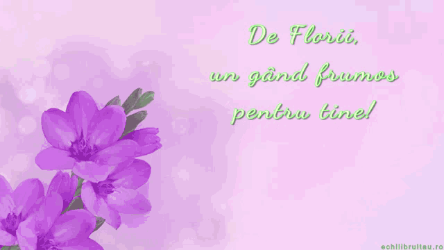 a pink background with purple flowers and the words de florii on it