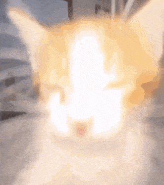 a close up of a cat 's face with a light coming out of it