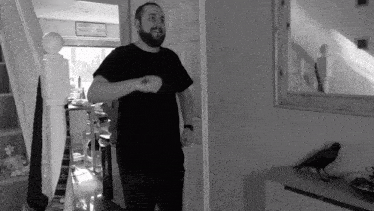 Caddicarus Caddy GIF