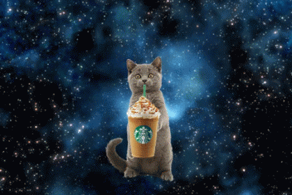 Happy Starbucks Cat  GIF - Cat Starbucks Space GIFs