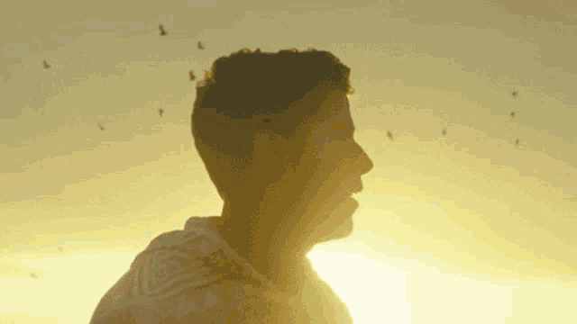 a man standing in front of a sunset with birds flying around him